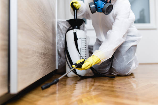 Best Emergency Pest Control  in Lake City, GA