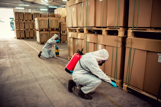 Trusted Lake City, GA Pest Control Experts