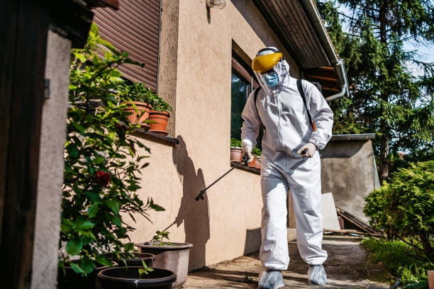 Best Mosquito Control Services  in Lake City, GA