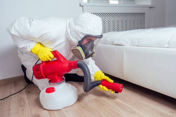 Best Rat Extermination Near Me  in Lake City, GA