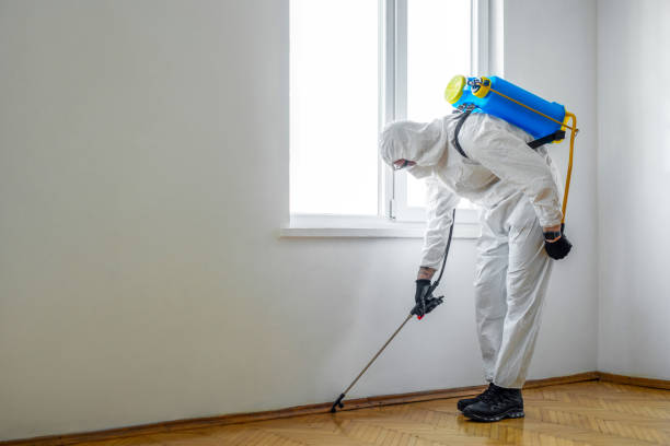 Best Termite Control Services  in Lake City, GA