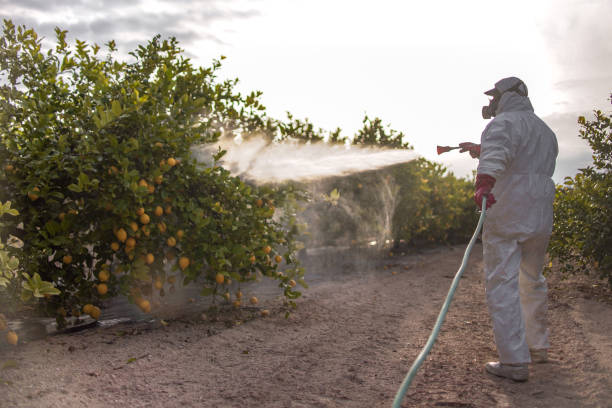 Best Pest Removal Services  in Lake City, GA