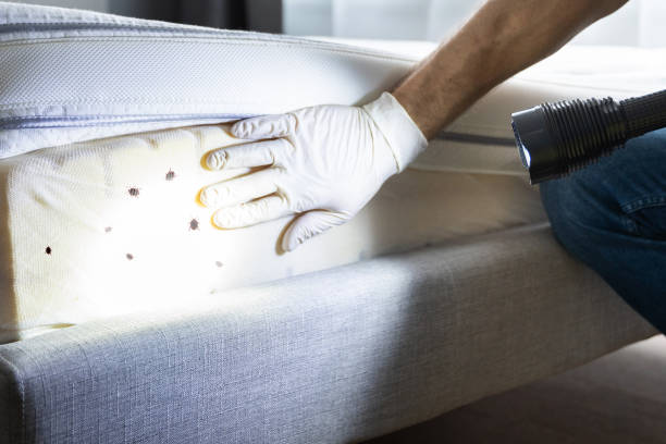 Best Pest Inspection Near Me  in Lake City, GA