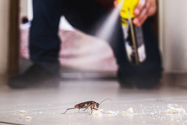 Best Spider Control Near Me  in Lake City, GA