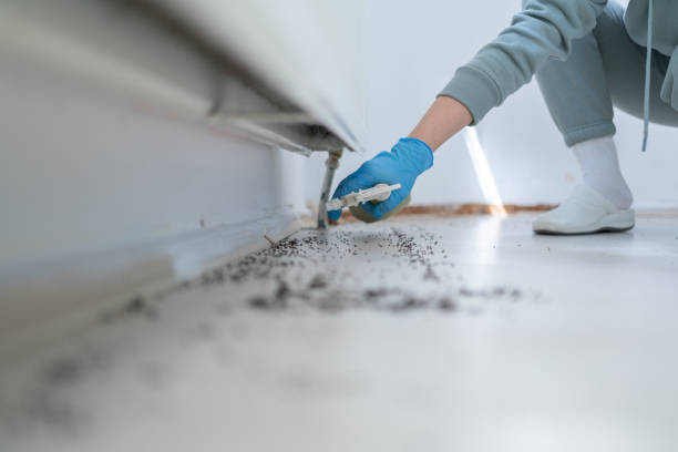 Best Commercial Pest Control Services  in Lake City, GA