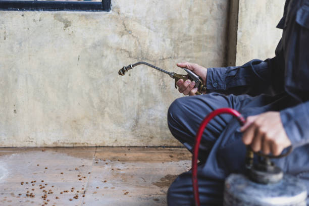 Best Best Pest Control Companies  in Lake City, GA