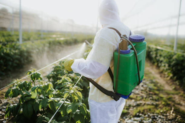 Best Affordable Pest Control Services  in Lake City, GA